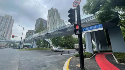 “实在是太方便了!”肇嘉浜路宛平路天桥自动扶梯开启试运行
