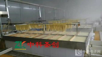 贵州自动腐竹机 厂家直销，高效生产助力腐竹产业升级